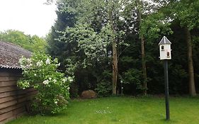 B&B De Panheide