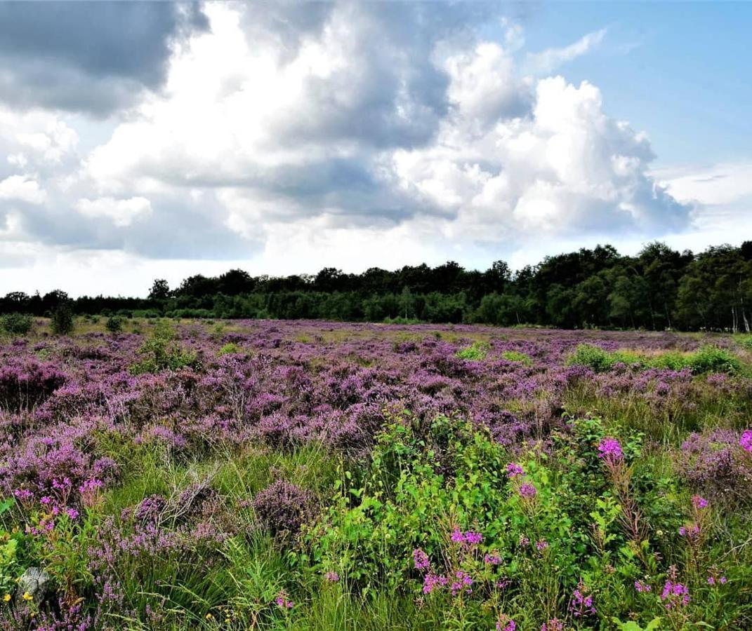 B&B De Panheide Hooghalen Esterno foto