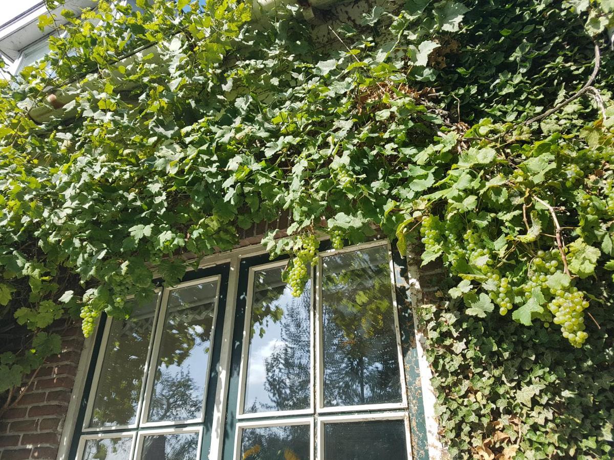 B&B De Panheide Hooghalen Esterno foto