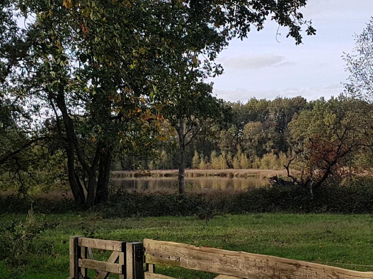 B&B De Panheide Hooghalen Esterno foto