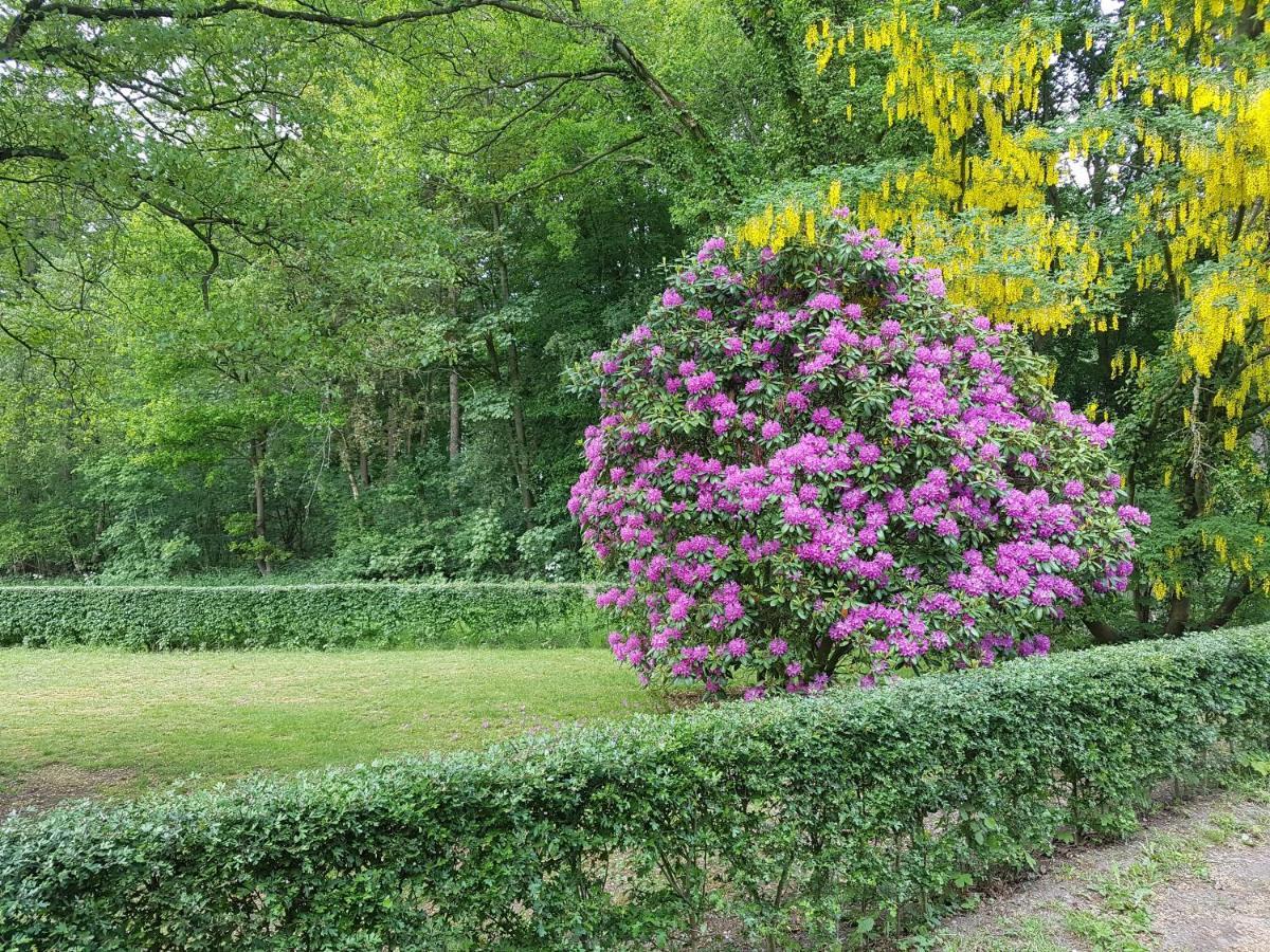 B&B De Panheide Hooghalen Esterno foto